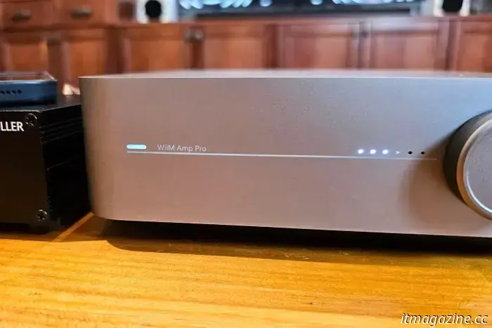 Wiim Amp Pro review: exclusively for audiophiles