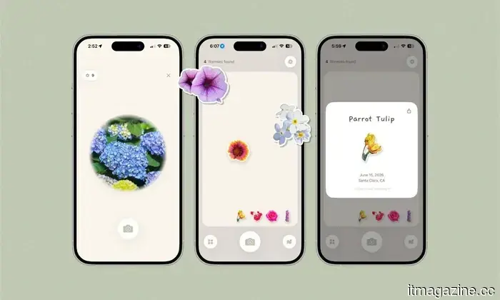 This flower identification app transforms each stroll into a Pokémon Go experience for plants.