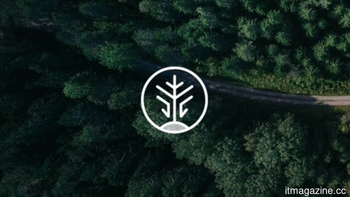 Octopus invests $500 million in Living Carbon for reforestation, while Google, Meta, and McKinsey purchase carbon credits from mining sites in Appalachia.