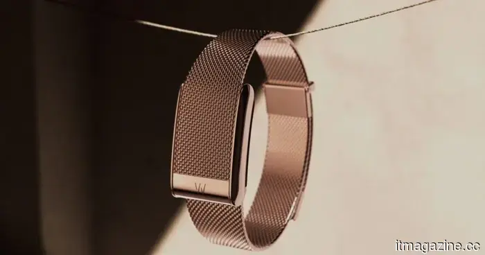 Il braccialetto in gioielleria di Whoop da 149 dollari costa più dell'intero Fitbit Air di Google.