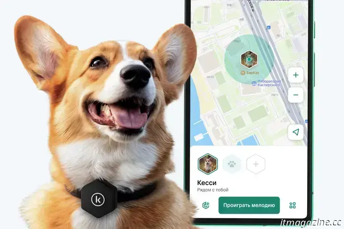 Kaspersky Lab
Búsqueda de mascotas perdidas
