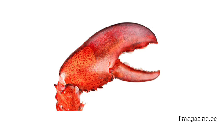 Four vulnerabilities in OpenClaw enable attackers to exfiltrate data, elevate privileges, and insert backdoors via the agent's own sandbox.