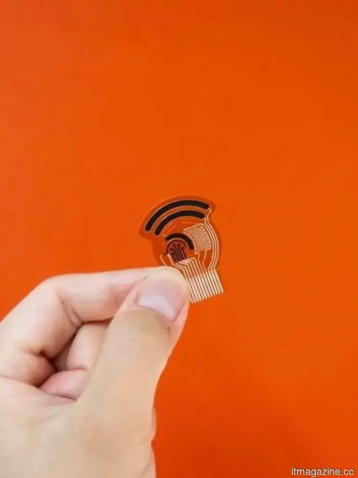 Scientists developed a small wearable patch that detects cholesterol levels through sweat.