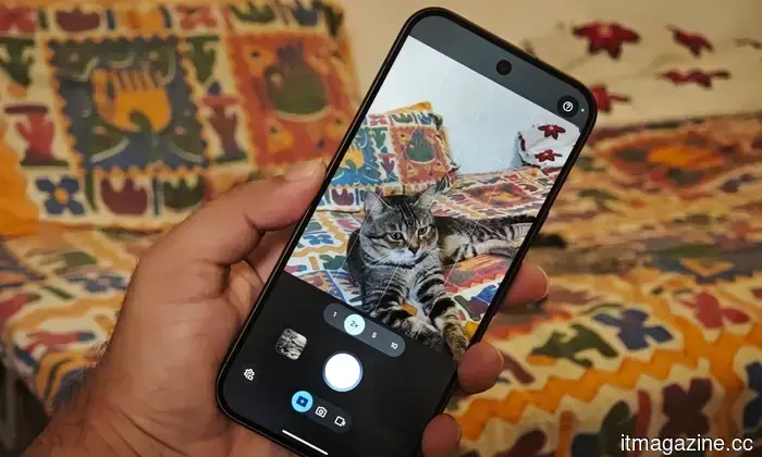 I used the Magic Capture feature on my cat with the Pixel 11 Pro, and I adore every funny shot.