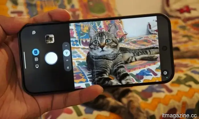 Google overlooked the potential of HiLight on the Pixel 11 Pro, but an application has just revealed its capabilities.