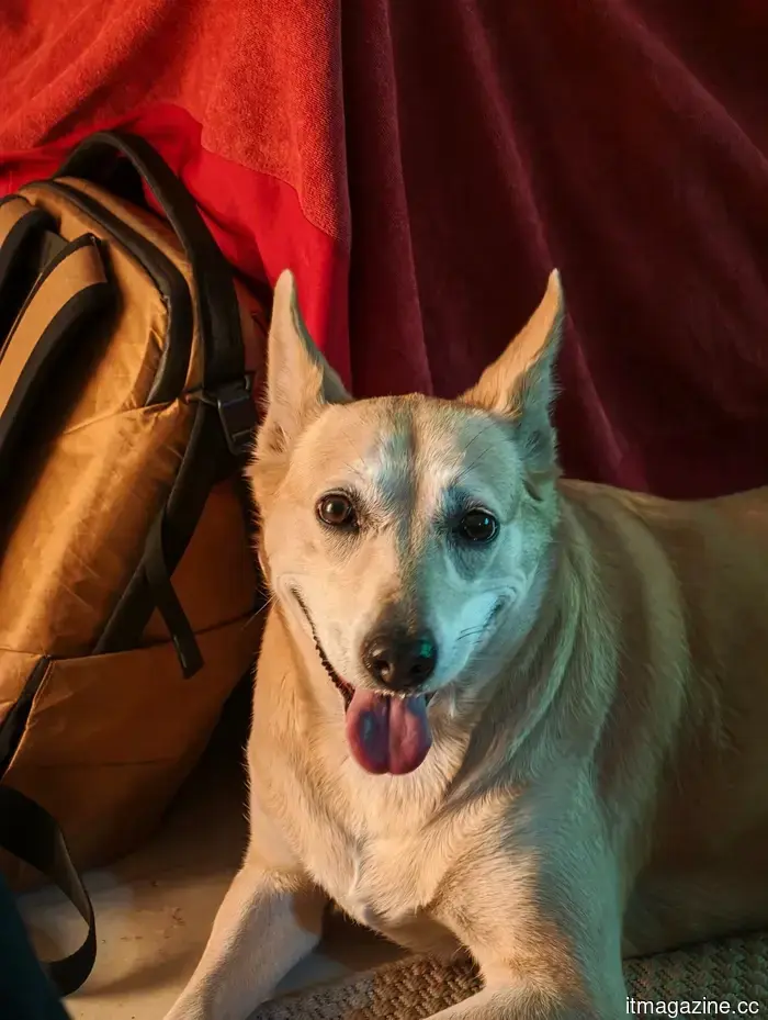 I tried out the camera on the Xiaomi 17 Ultra, and I doubt I will return to using an iPhone.