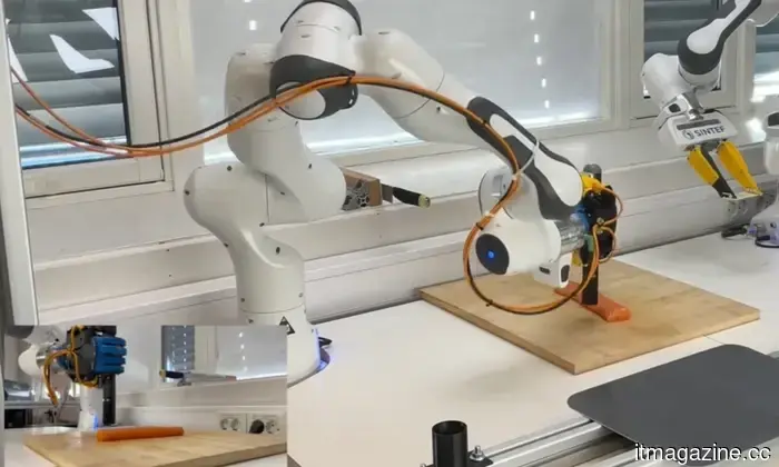 Il robot Sashimi è reale e non sbaglia a affettare e tagliare.