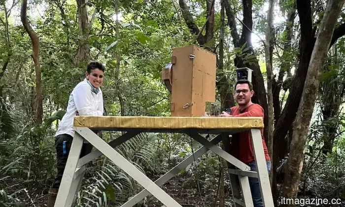 L'IA non ci viene solo imposta. Anche le scimmie della foresta sono ora un pubblico di prova in nome della scienza.