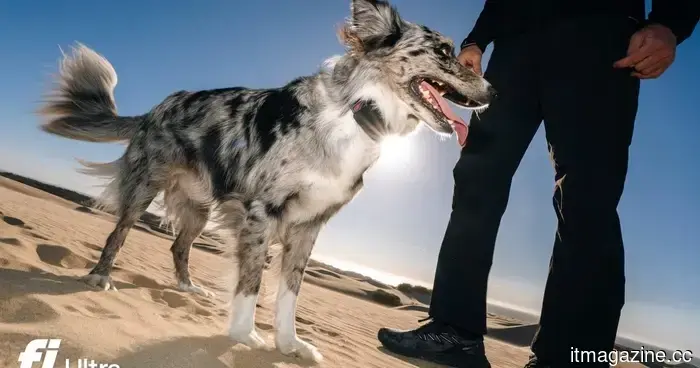 Your dog has the ability to run, but Fi’s new tracker, supported by Starlink satellites, ensures you can always locate them.