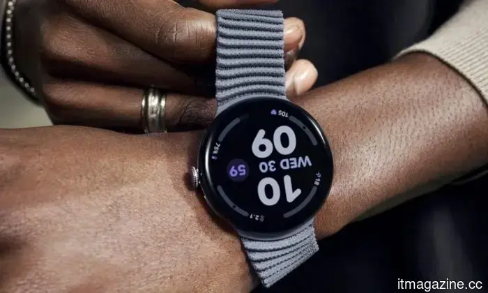 Fitbit's new update transforms your app into a chat-based personal trainer.