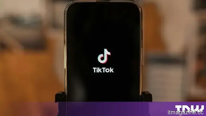 TikTok ha trattenuto una soluzione di sicurezza per milioni, mostra un documento